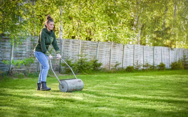 lawn-rolling-service