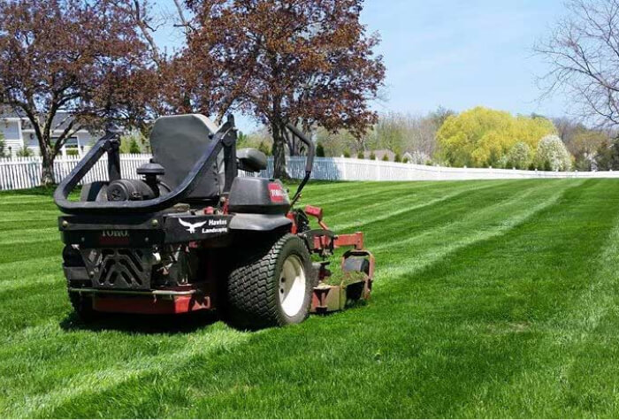 lawn-service