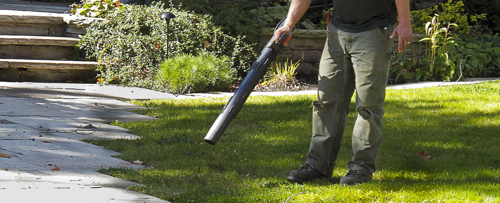 spring-fall-cleanup-hero