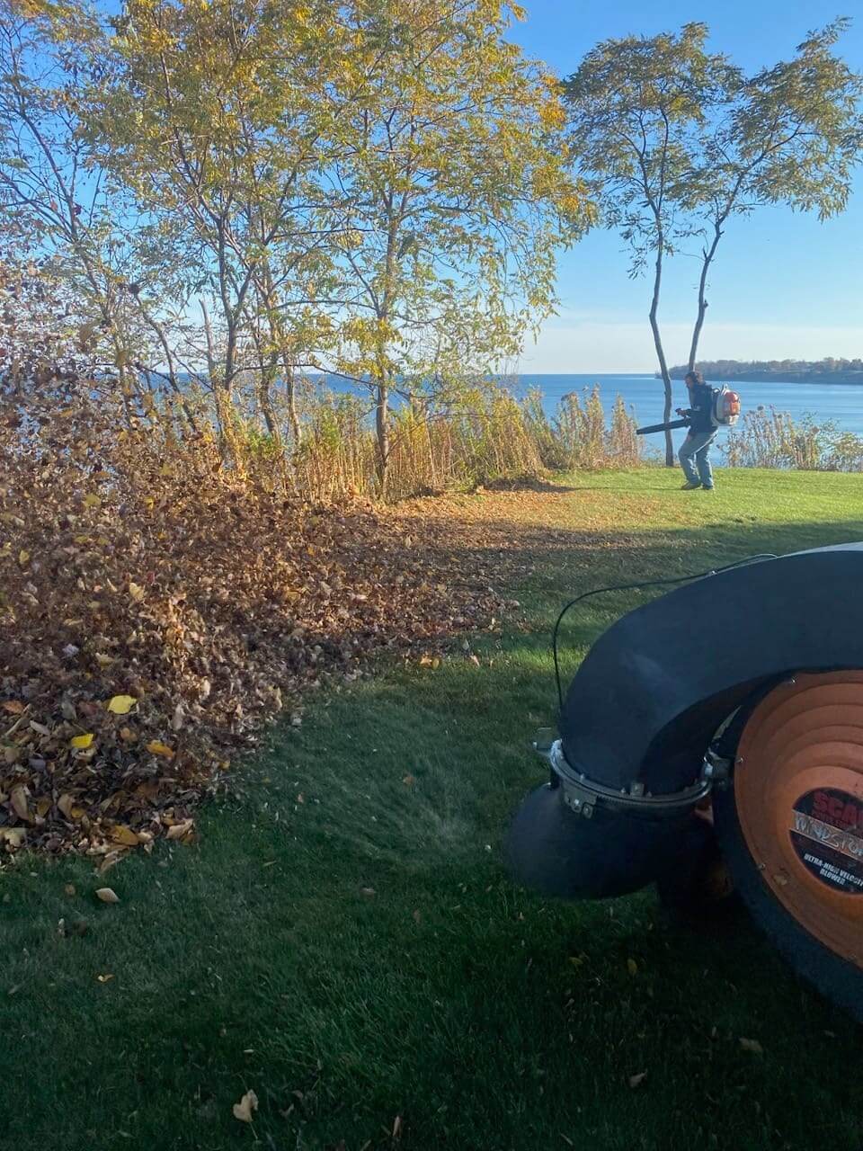 spring-fall-cleanup2